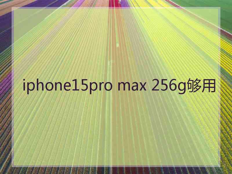 iphone15pro max 256g够用