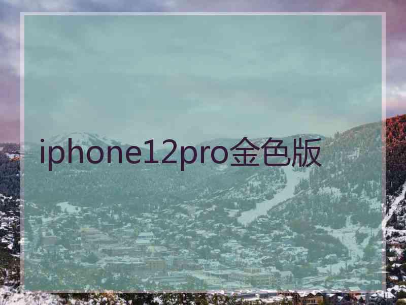 iphone12pro金色版