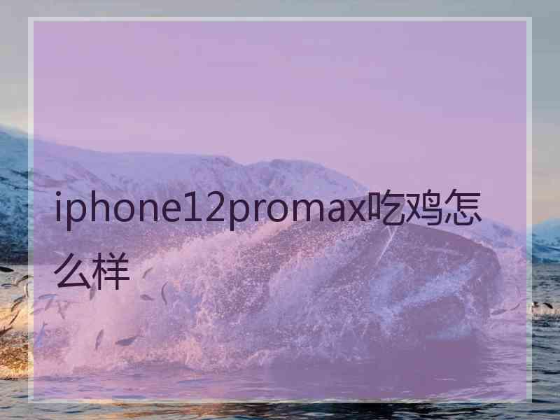 iphone12promax吃鸡怎么样