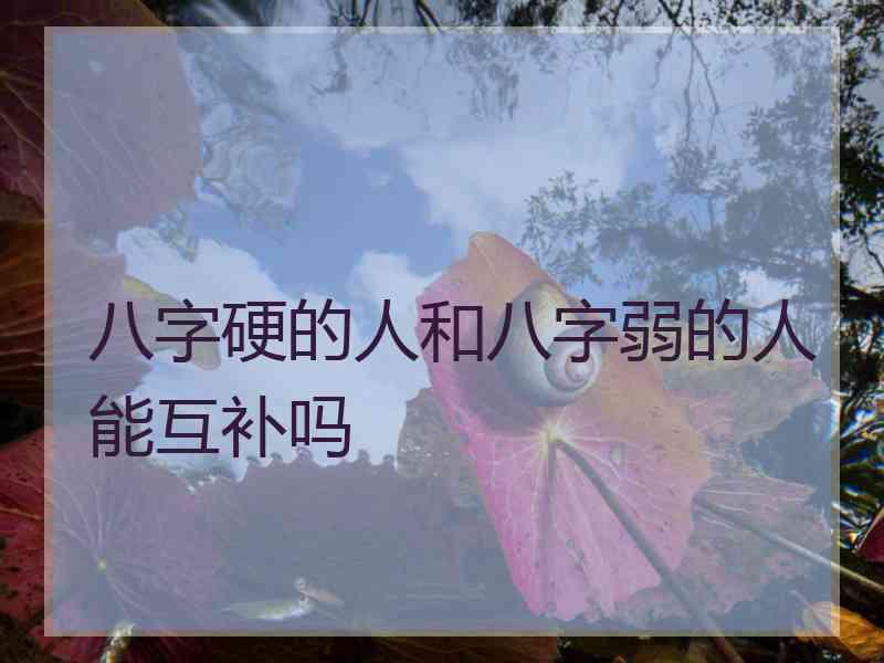 八字硬的人和八字弱的人能互补吗