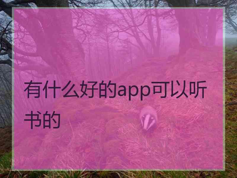 有什么好的app可以听书的