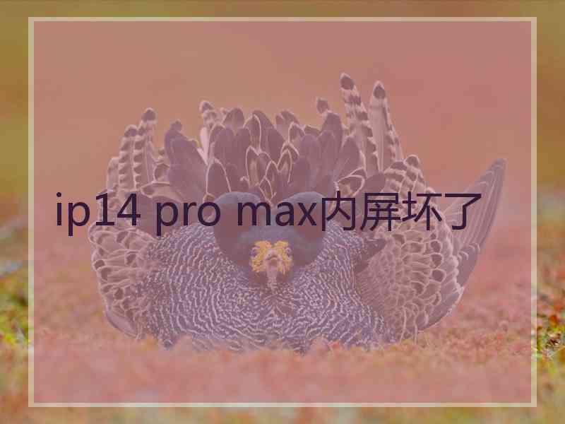 ip14 pro max内屏坏了