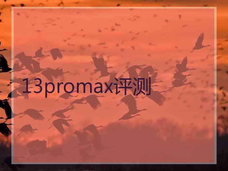 13promax评测