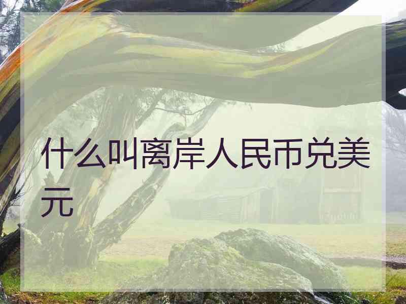 什么叫离岸人民币兑美元