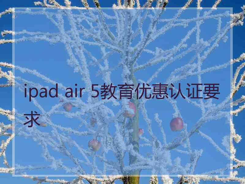 ipad air 5教育优惠认证要求