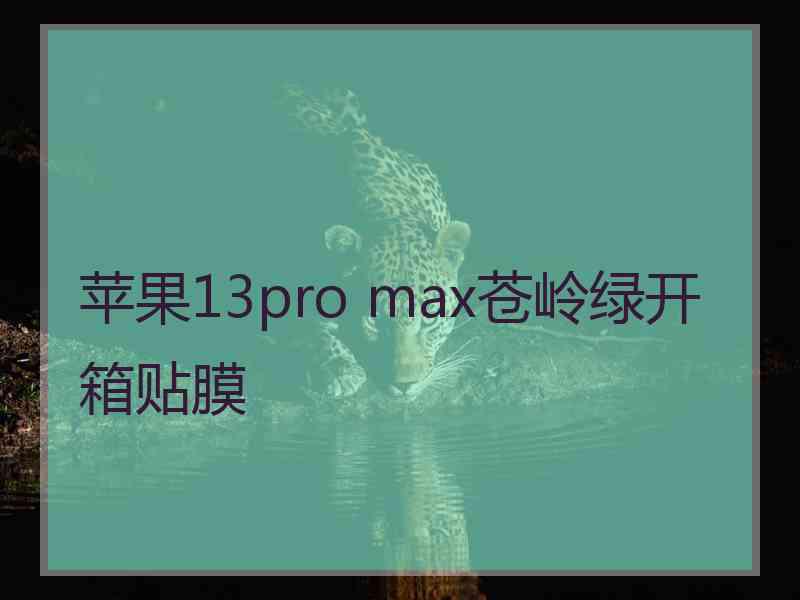 苹果13pro max苍岭绿开箱贴膜