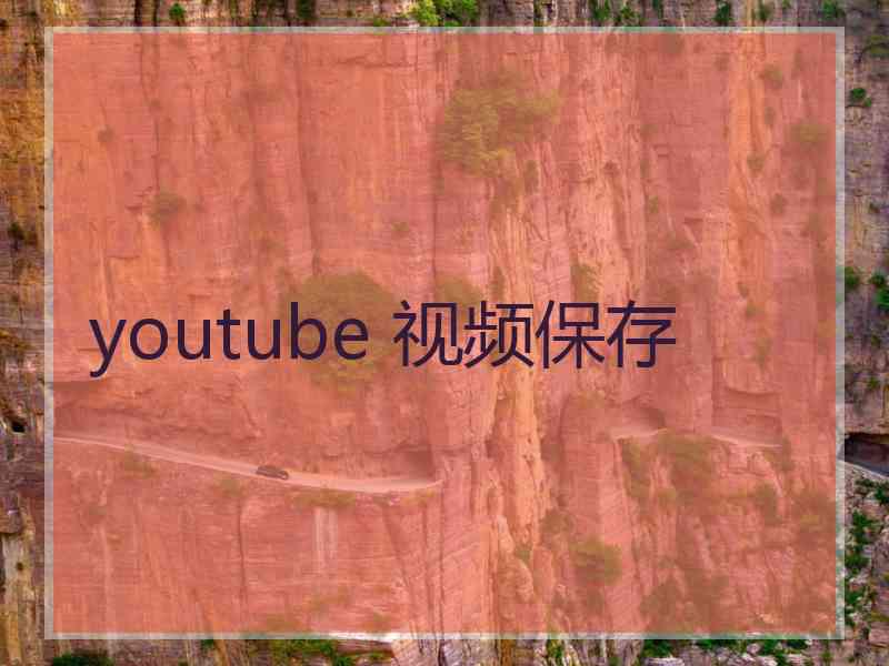 youtube 视频保存