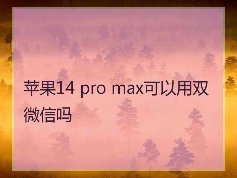 苹果14 pro max可以用双微信吗