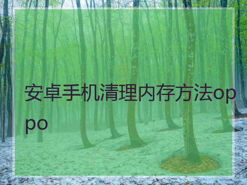 安卓手机清理内存方法oppo