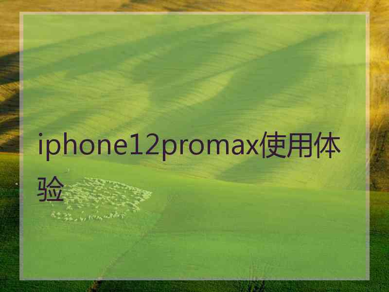 iphone12promax使用体验