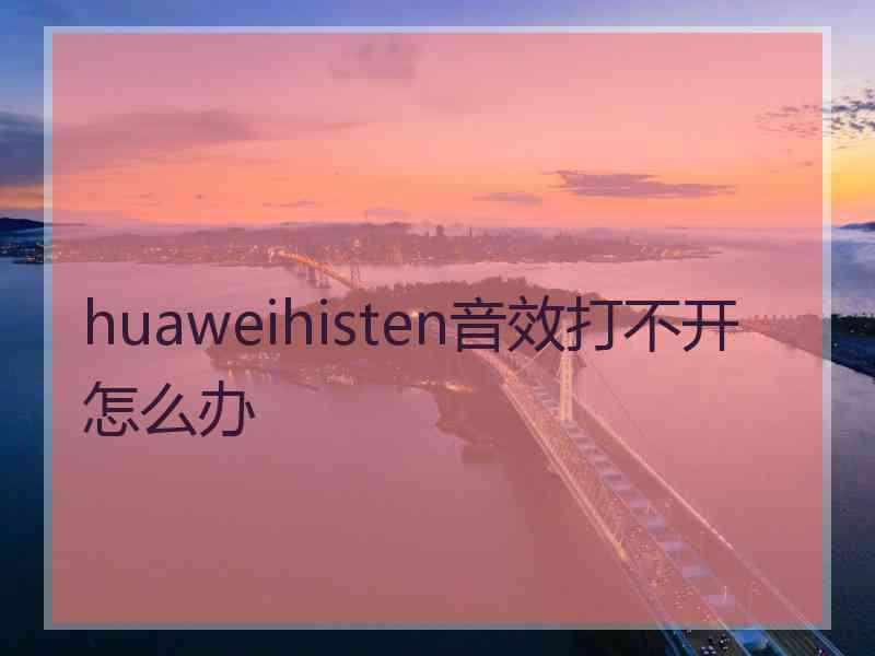 huaweihisten音效打不开怎么办