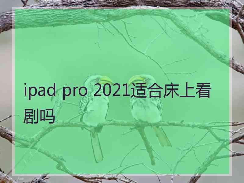 ipad pro 2021适合床上看剧吗