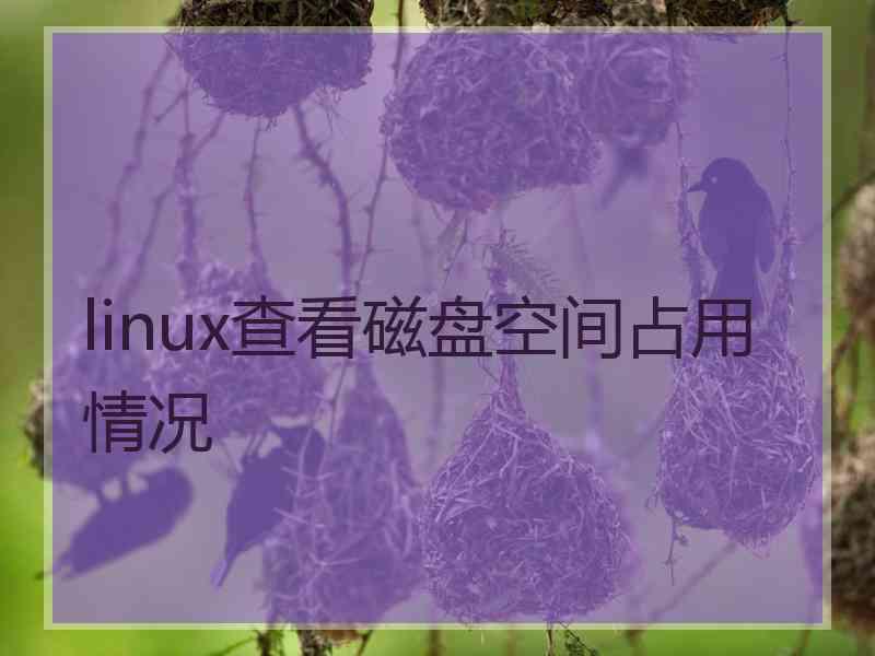 linux查看磁盘空间占用情况