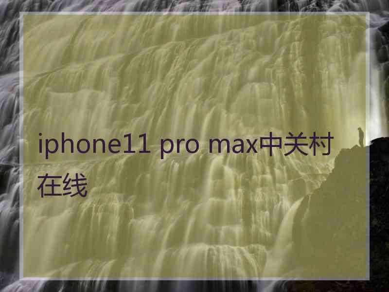 iphone11 pro max中关村在线