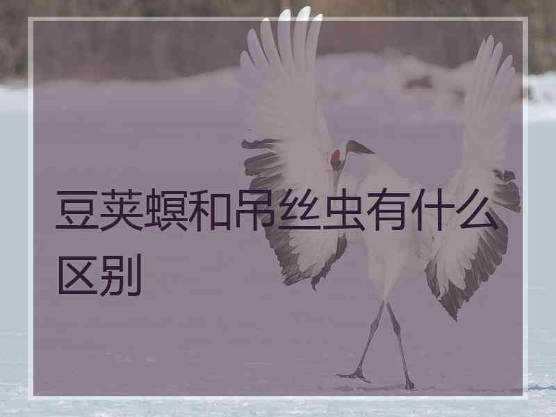 豆荚螟和吊丝虫有什么区别