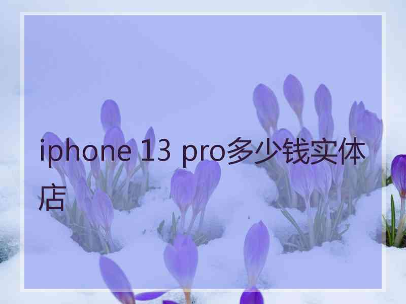 iphone 13 pro多少钱实体店