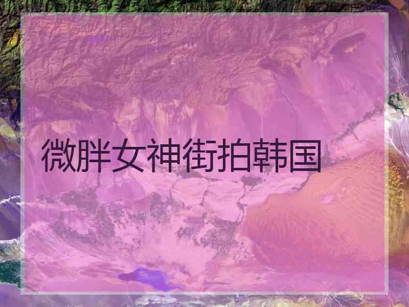 微胖女神街拍韩国