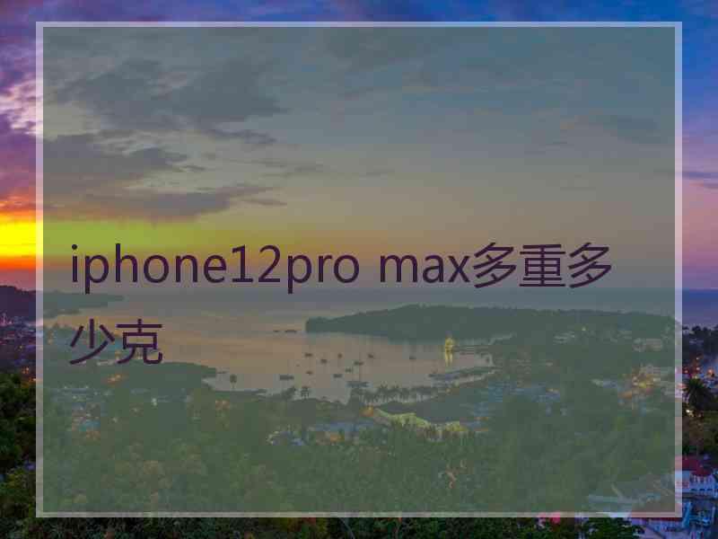 iphone12pro max多重多少克