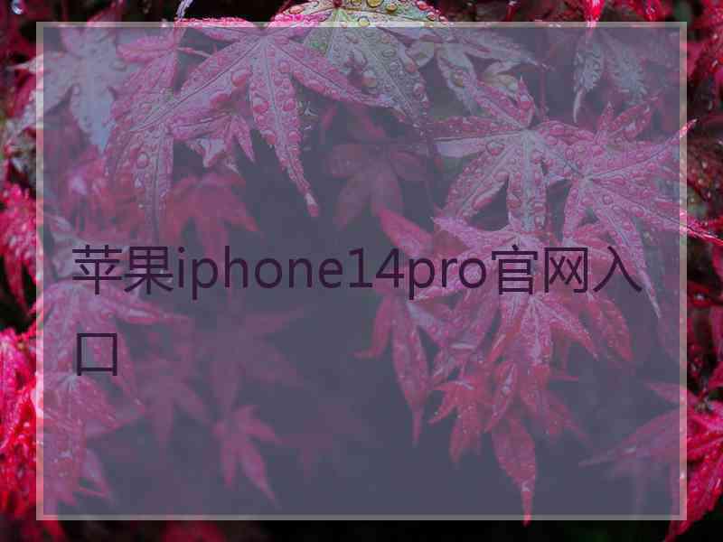 苹果iphone14pro官网入口