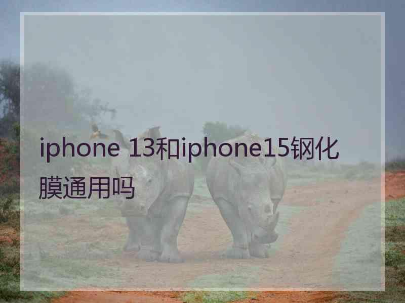 iphone 13和iphone15钢化膜通用吗