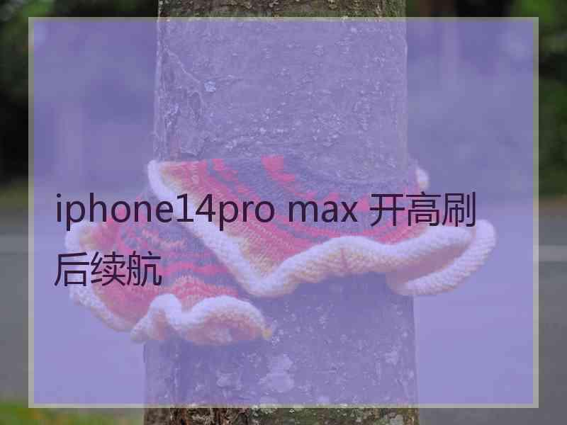 iphone14pro max 开高刷后续航