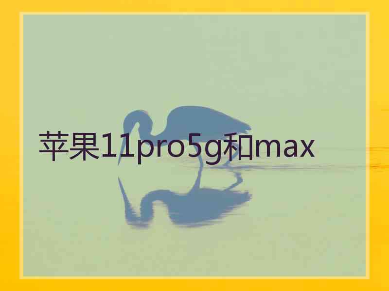 苹果11pro5g和max