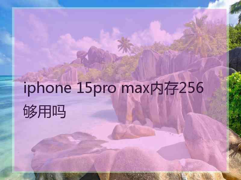 iphone 15pro max内存256够用吗