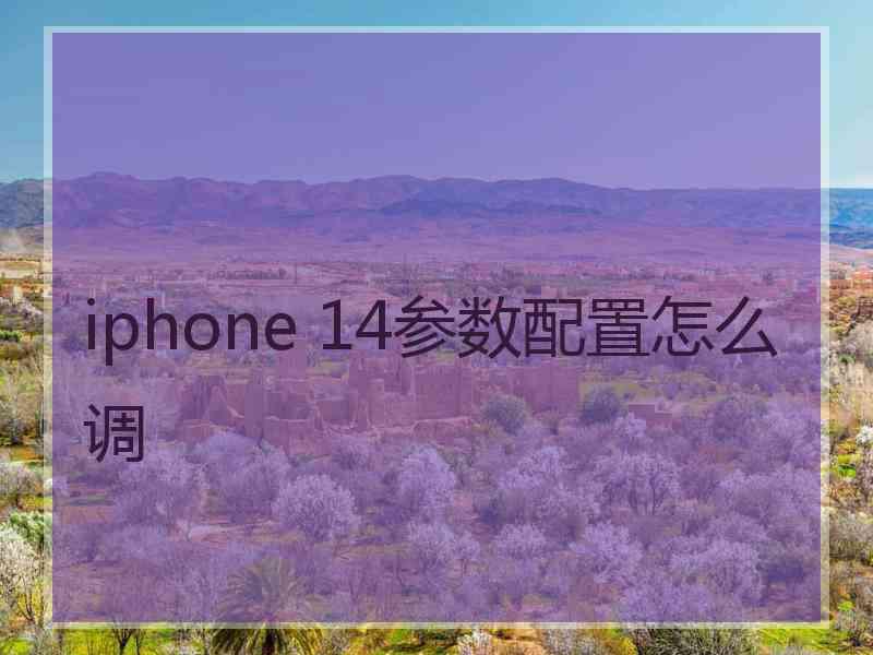 iphone 14参数配置怎么调