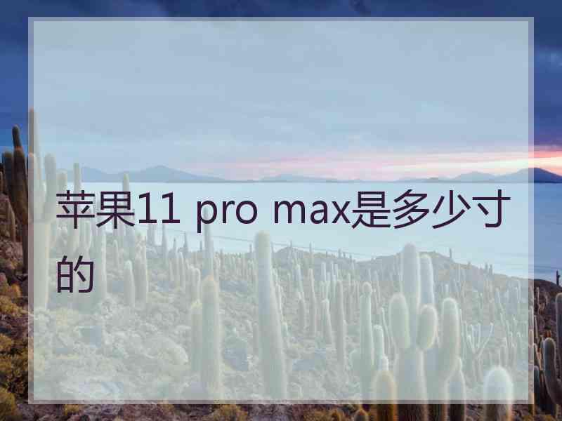 苹果11 pro max是多少寸的