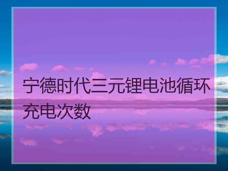 宁德时代三元锂电池循环充电次数