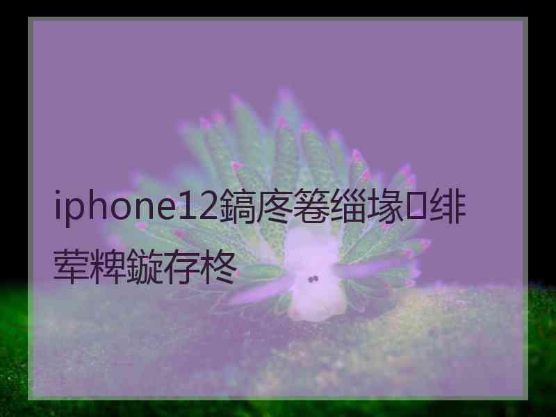 iphone12鎬庝箞缁堟绯荤粺鏇存柊