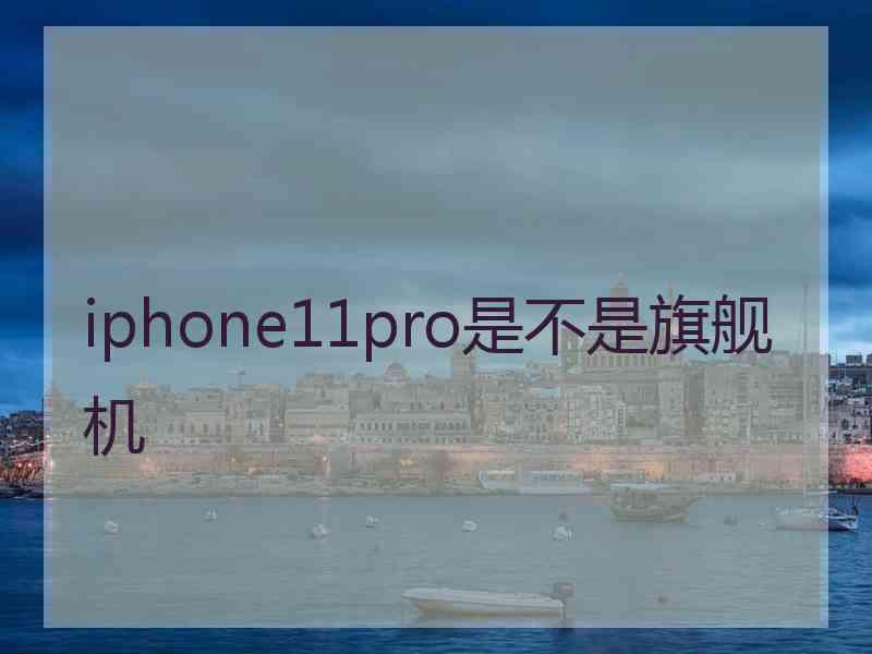 iphone11pro是不是旗舰机