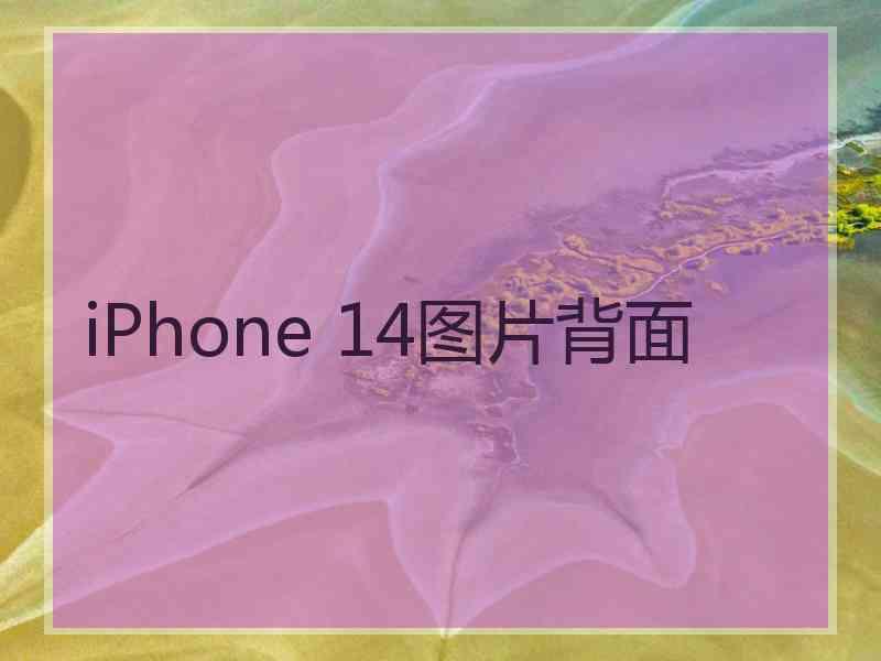 iPhone 14图片背面