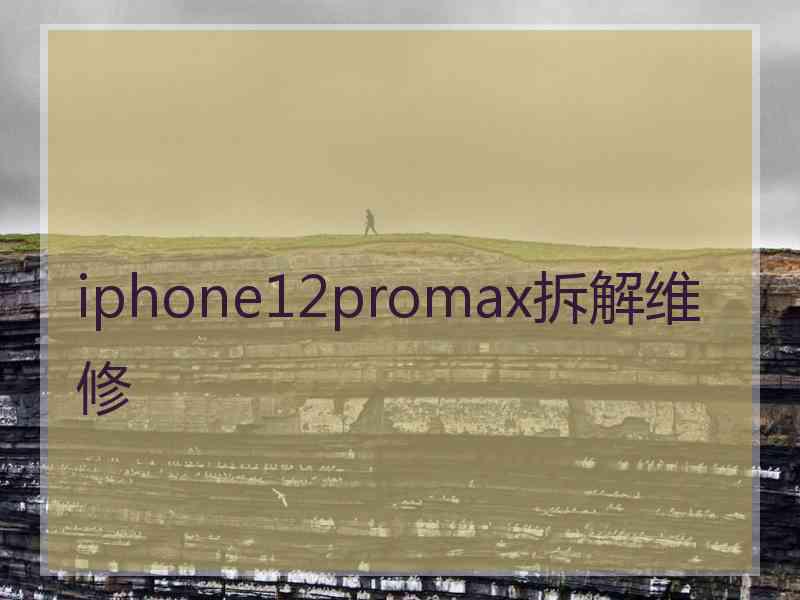 iphone12promax拆解维修