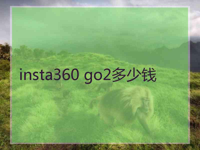 insta360 go2多少钱