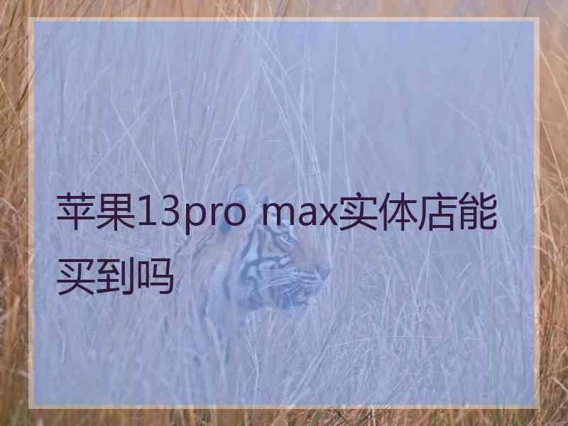 苹果13pro max实体店能买到吗