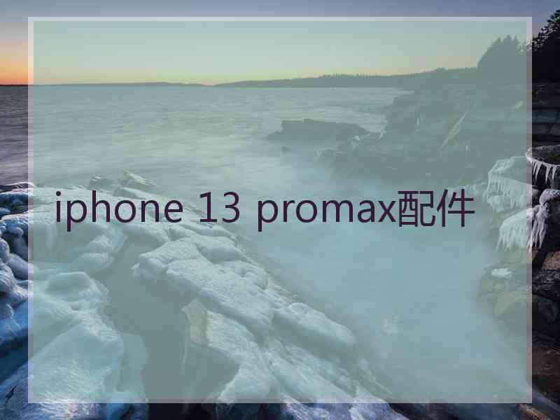 iphone 13 promax配件