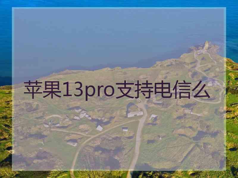 苹果13pro支持电信么