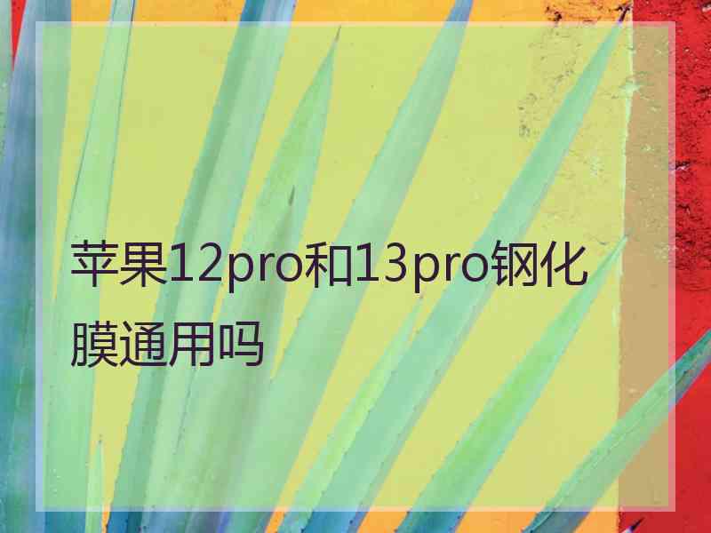 苹果12pro和13pro钢化膜通用吗