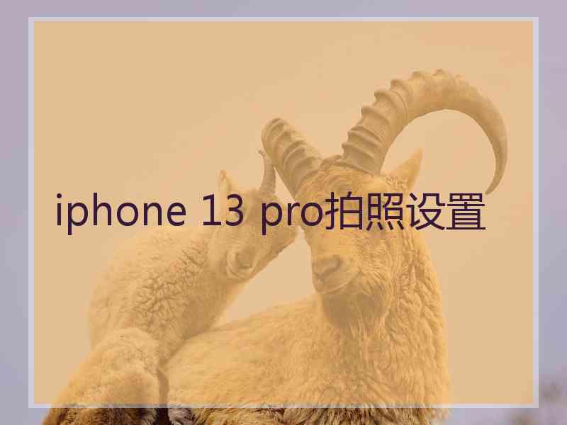 iphone 13 pro拍照设置