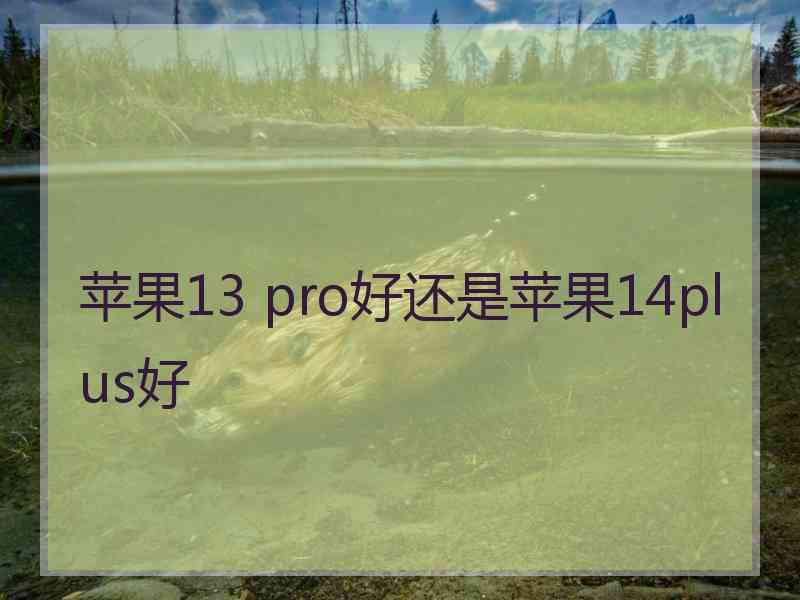 苹果13 pro好还是苹果14plus好