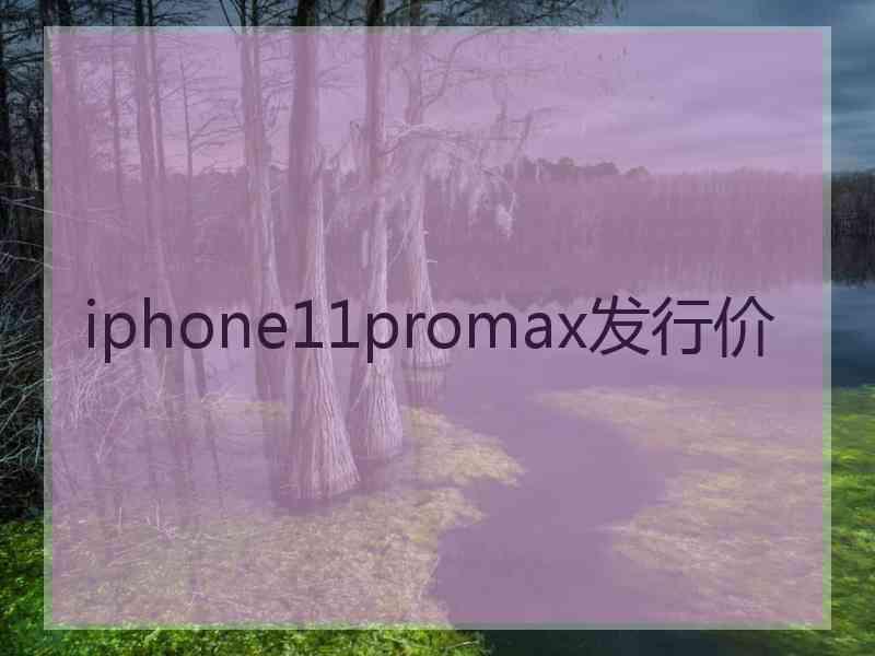 iphone11promax发行价