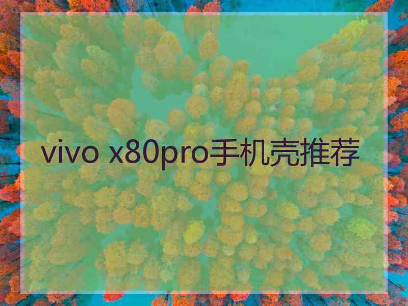 vivo x80pro手机壳推荐