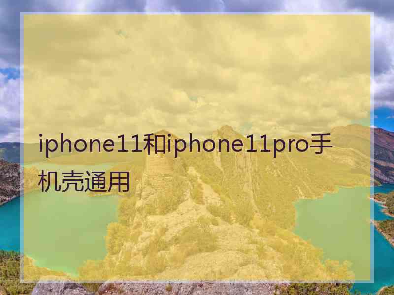 iphone11和iphone11pro手机壳通用