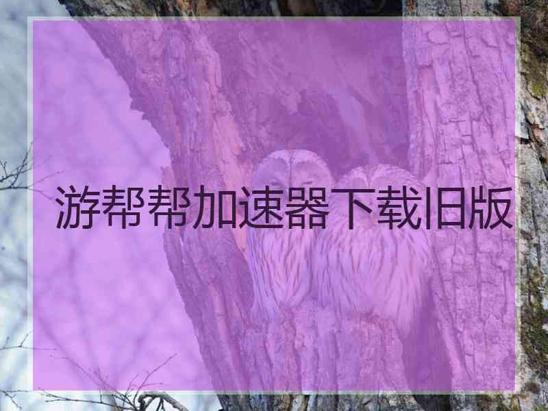 游帮帮加速器下载旧版