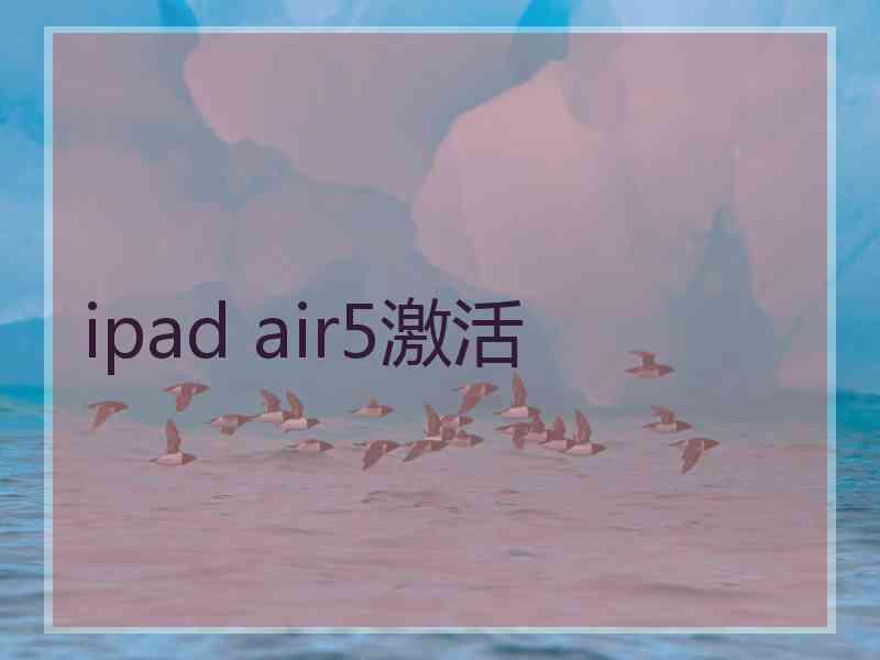 ipad air5激活