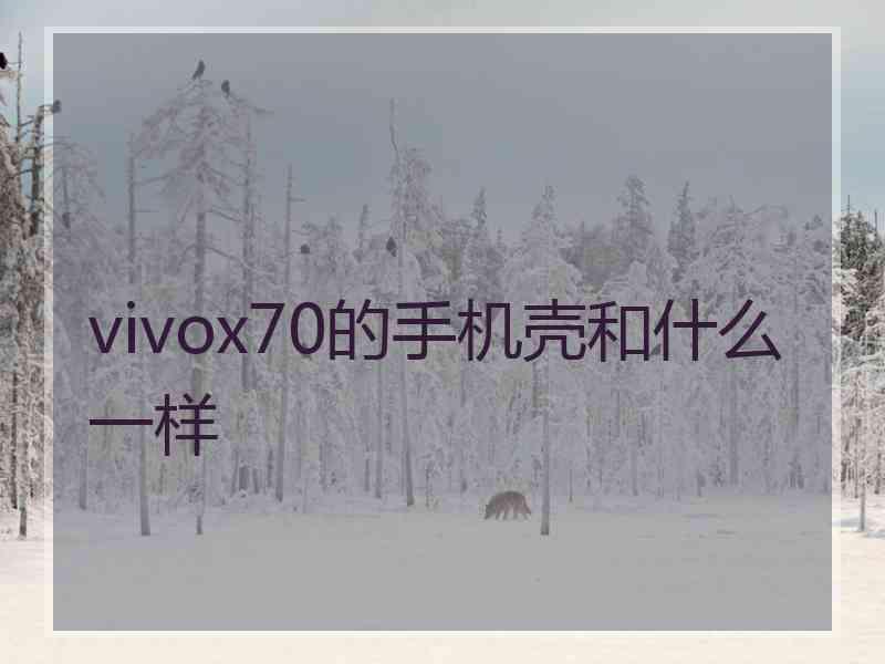 vivox70的手机壳和什么一样