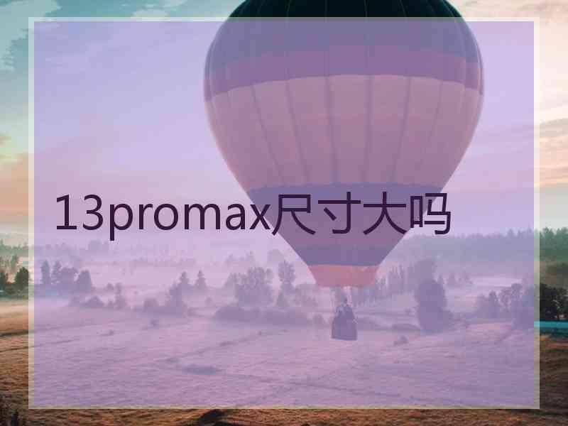 13promax尺寸大吗