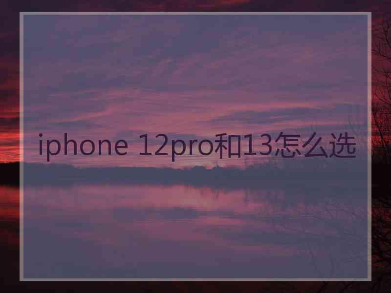 iphone 12pro和13怎么选