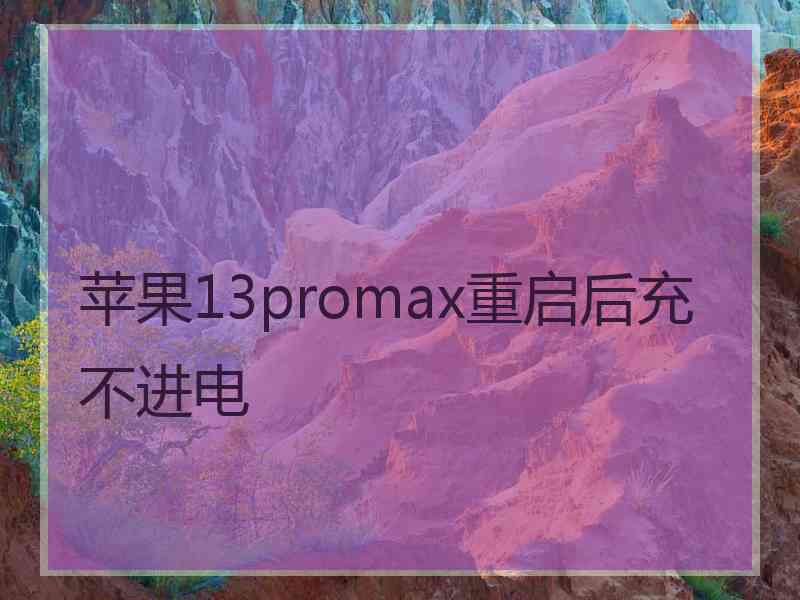 苹果13promax重启后充不进电